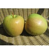 Golden delicious - !!! VYPREDANÉ !!!